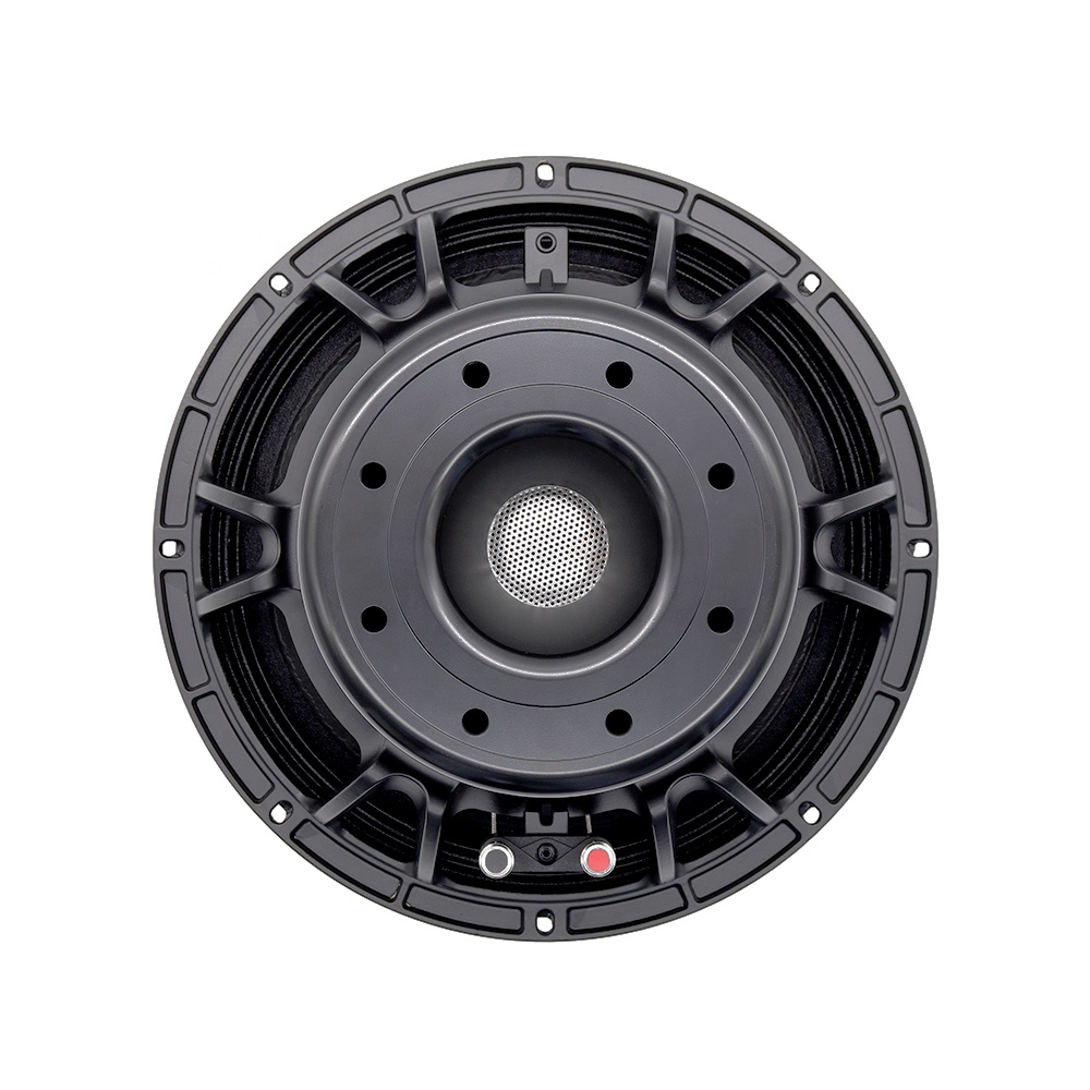 Audio & Music Settings Xbox One - 12DS Pro Ses Ekipmanları 12'' Hoparlör
