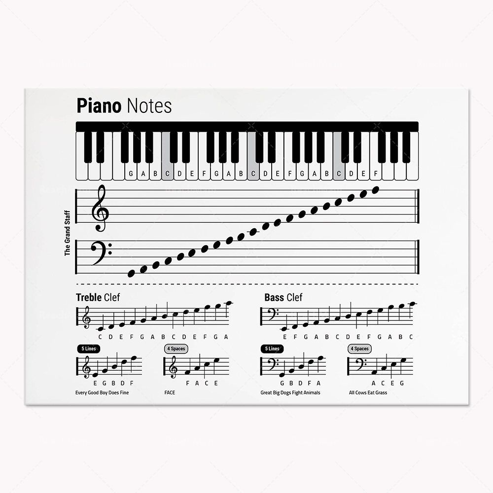 Gitar teorisi, piyano, ses spe - Audio To Music Sheet incelemesi ve fiyatı